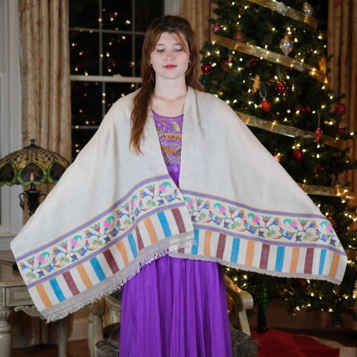 Diane Multicolor Kani Pashmina Stole