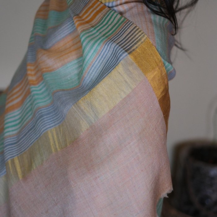 Multicolor Supersoft Zari Border Pashmina Wrap