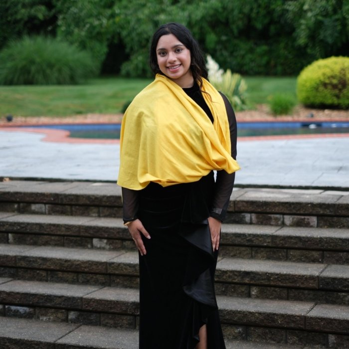 Shams Handwoven Pashmina Wrap