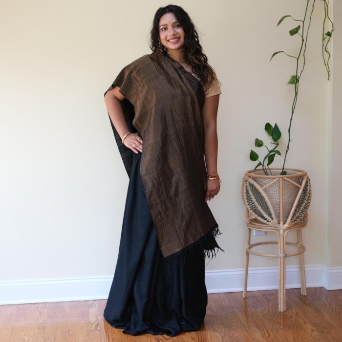 Ladakhy Handwoven Bronze Black Pashmina Saree