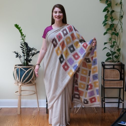 The Mosaic Whispers Handwoven Pashmina Saree 1